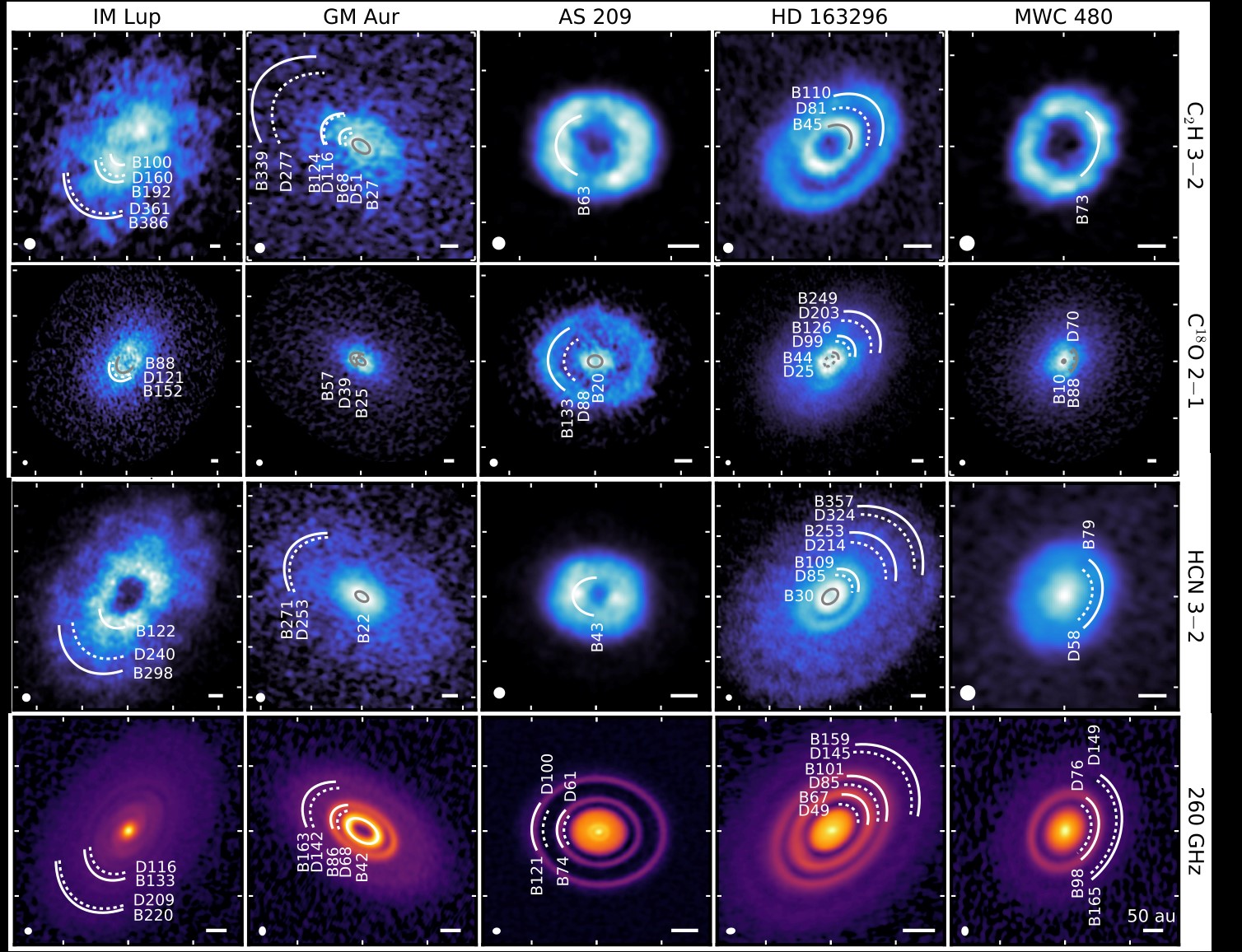 Are substructures in different components of protoplanetary disks correlated?