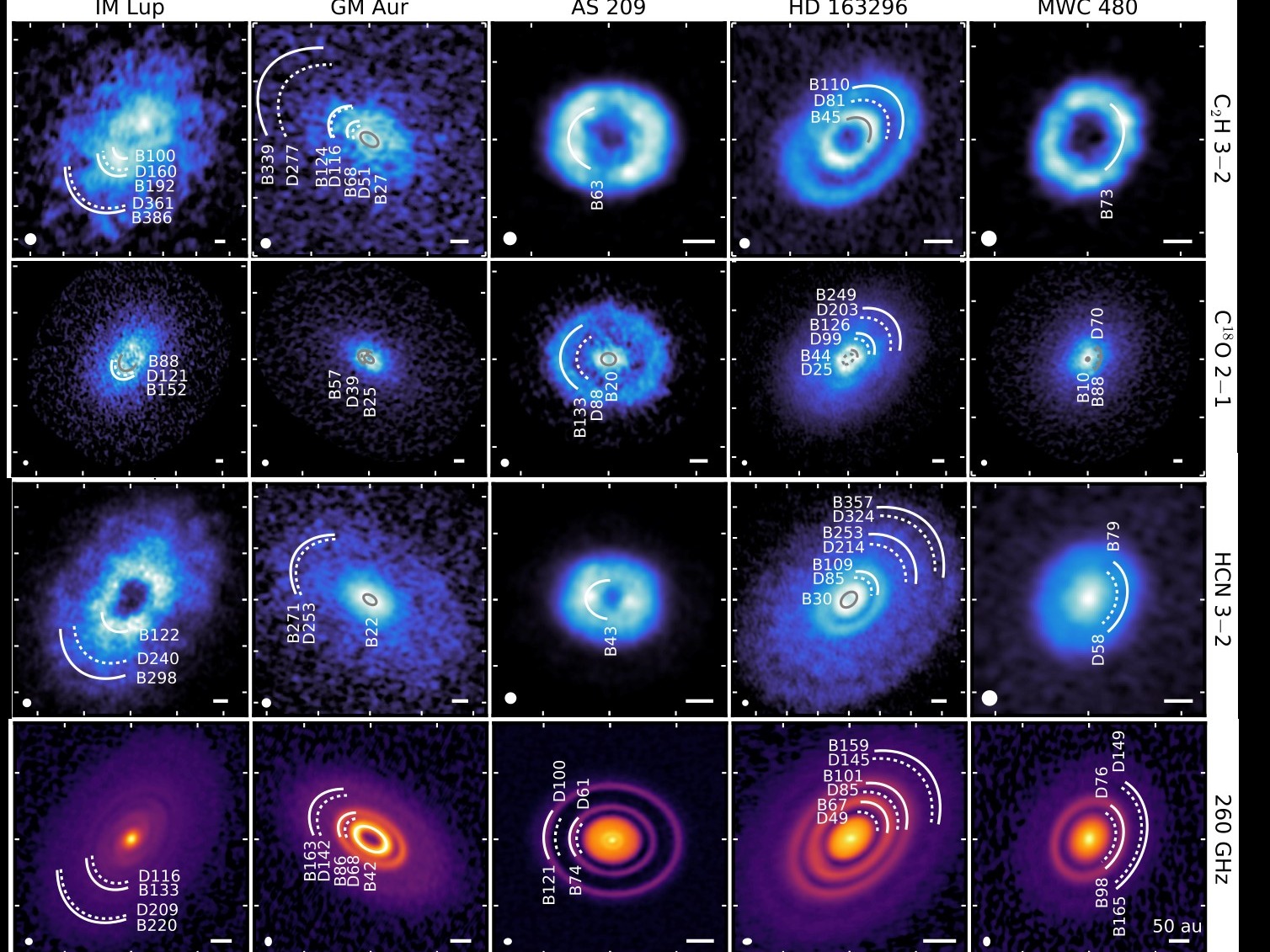 Are substructures in different components of protoplanetary disks correlated?